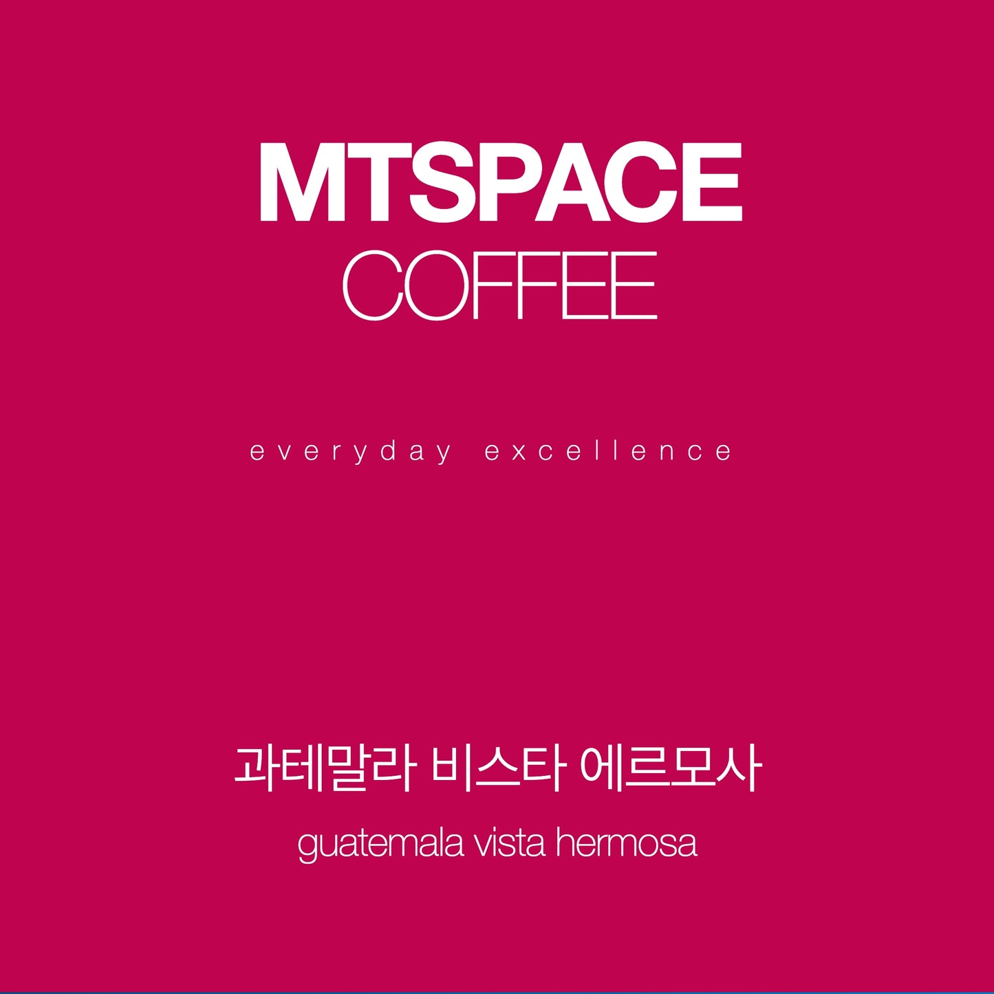 과테말라 비스타 에르모사 워시드 125g MTSPACE COFFEE 라이트 로스트 싱글 오리진
